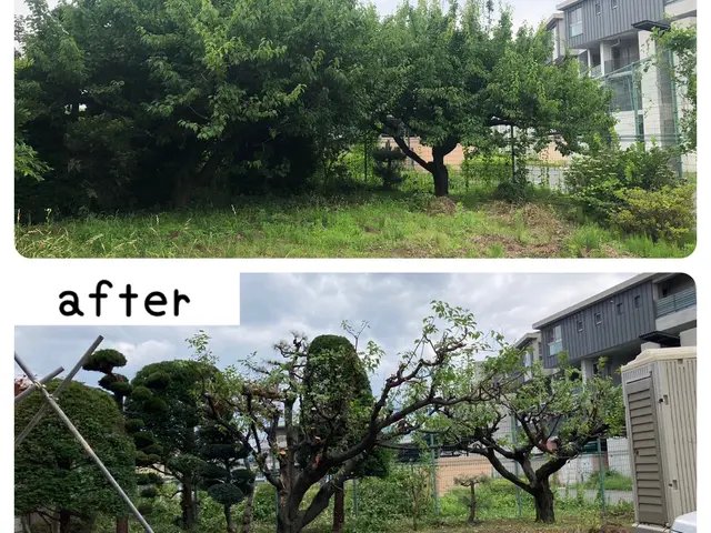 庭木の剪定　◎地域密着店◎予約から作業まで100%自社対応◎営業時間外も対応可能サービスの画像