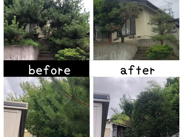 庭木の剪定　◎地域密着店◎予約から作業まで100%自社対応◎営業時間外も対応可能サービスの画像