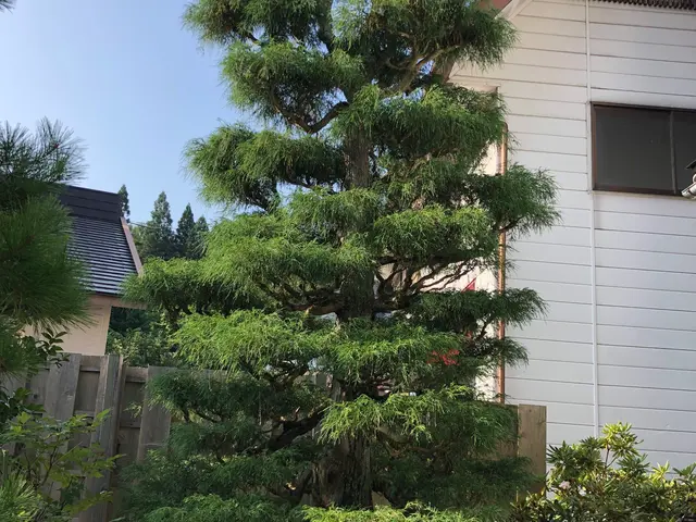 【笑顔第一！】育児奮闘中の店長がお手入れします！サービスの画像