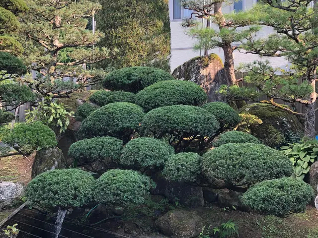 【笑顔第一！】育児奮闘中の店長がお手入れします！サービスの画像