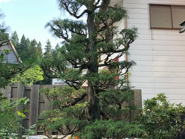 【笑顔第一！】育児奮闘中の店長がお手入れします！サービスの画像