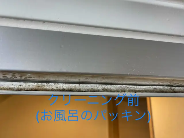 |◤秋の清潔な暮らしをお届け◢|一足早い年末の大掃除をお手伝い致します❁サービスの画像