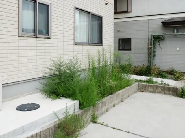 【受付中】忙しくてなかなか出来ない雑草抜きは、依頼しましょう！サービスの画像