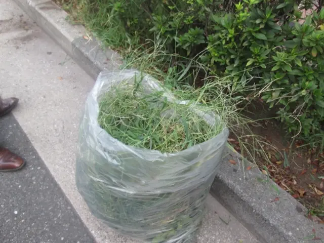 【受付中】忙しくてなかなか出来ない雑草抜きは、依頼しましょう！サービスの画像