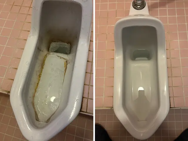 家事をひとりで抱えない暮らしへ｜水回り掃除・整理整頓・お料理サポートサービスの画像