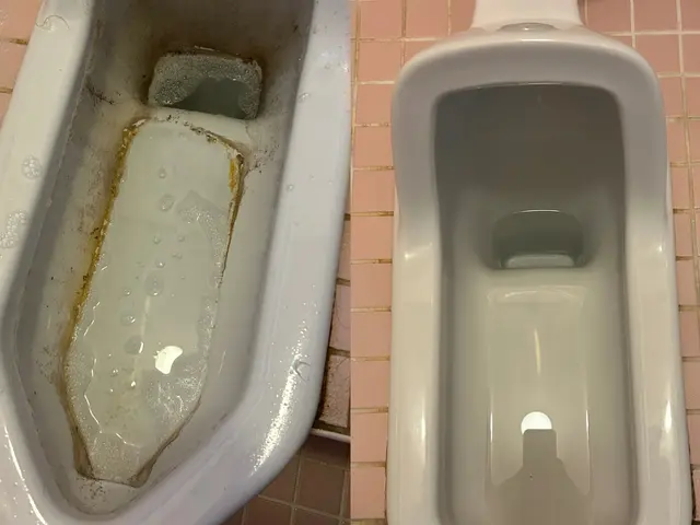 水回り掃除、整理整頓、お料理まで幅広く対応！ぜひ年末の大掃除プロにお任せくださいサービスの画像