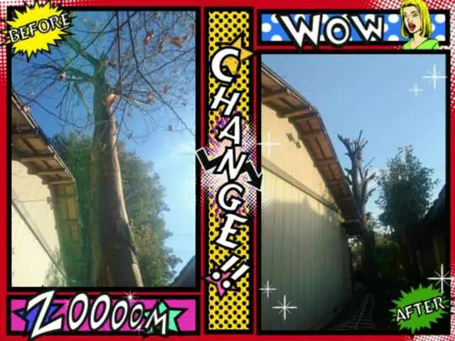 お庭スッキリ！!害虫対策になります♪安心店舗【実績15年】女性スタッフ同行可能!サービスの画像