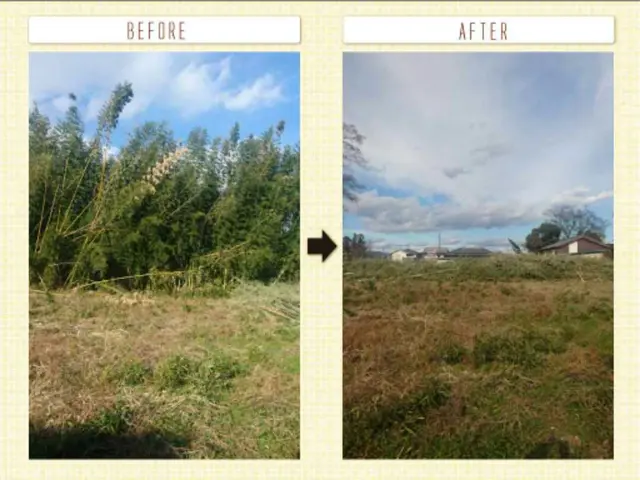お庭スッキリ！!害虫対策になります♪安心店舗【実績15年】女性スタッフ同行可能!サービスの画像