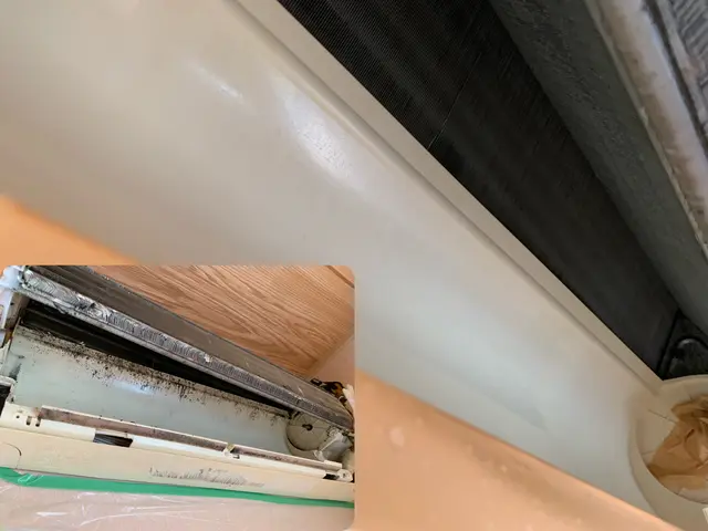 恍惚の瞬間を共有！ プロの技で蘇る・エアコンクリーニング専門店【完全分解対応店】サービスの画像