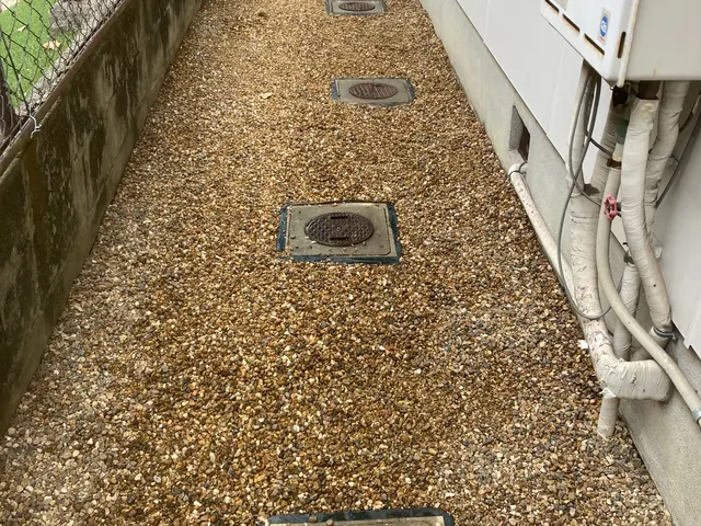 店長の桝谷が責任を持って雑草をむしります！雑草からの心配から解放されませんか？サービスの画像