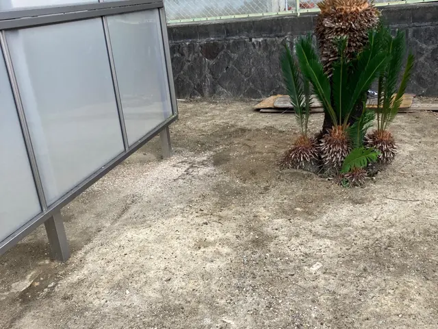 店長の桝谷が責任を持って雑草をむしります！雑草からの心配から解放されませんか？サービスの画像