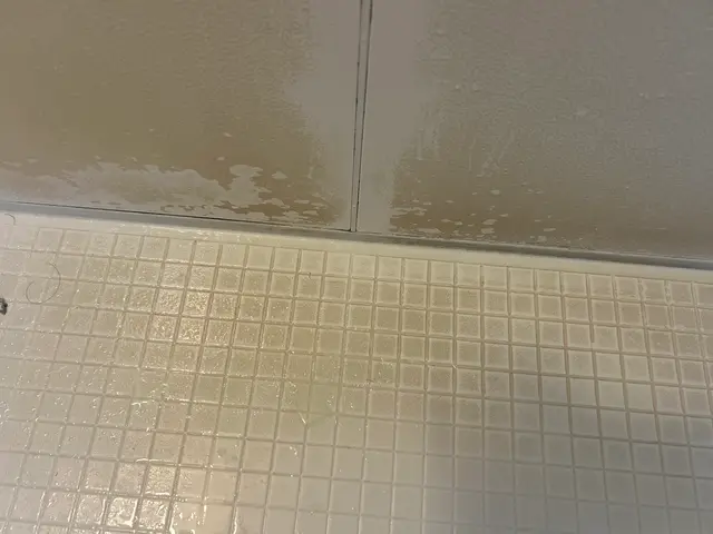 プロの分解洗浄で徹底除去！浴室クリーニングサービスの画像