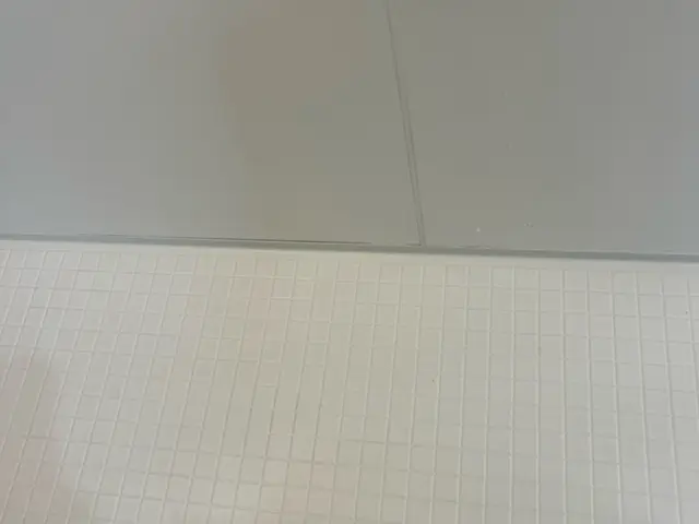 プロの分解洗浄で徹底除去！浴室クリーニングサービスの画像