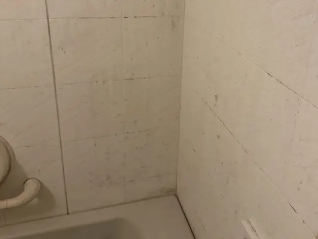 プロの技術でご満足いただけるように心を込めて作業いたしますサービスの画像