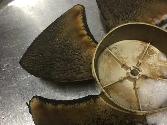 法人店舗◎安心の保険加入済み★女性スタッフ同行可能サービスの画像