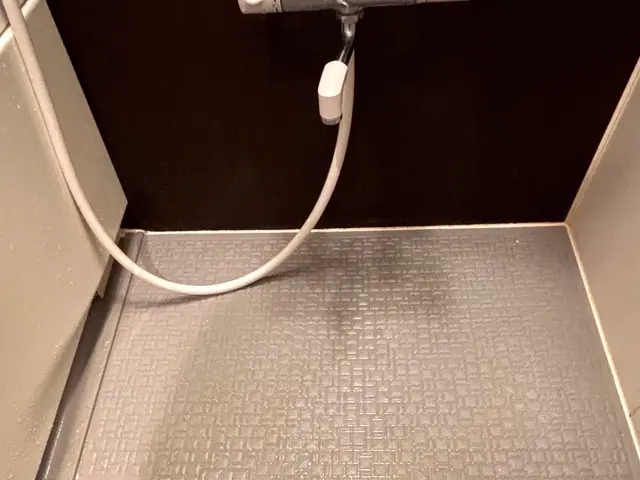 【業歴15年の経験と実績】女性スタッフ同行可能・アフターフォローもばっちりサービスの画像