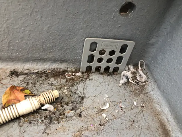 知名度と料金が最も高い大手出身の店長が、汚れの悩みを一緒に考えます。サービスの画像