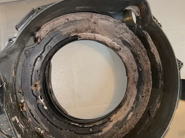 【全機種対応!!】和歌山唯一日本洗濯機クリーニング協会員による分解クリーニングサービスの画像