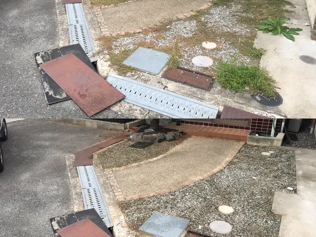 業歴19年以上★少量からでも大歓迎★緑や庭のことならお任せ下さい★一級造園技能士サービスの画像