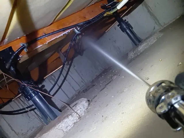 シロアリ駆除対策施工！防腐•防カビサービスの画像