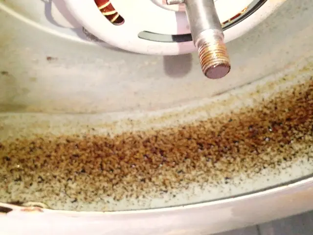 ◆船橋市発！◆ハウスクリーニング士が伺います！◎対応地域外もご相談OK◎サービスの画像