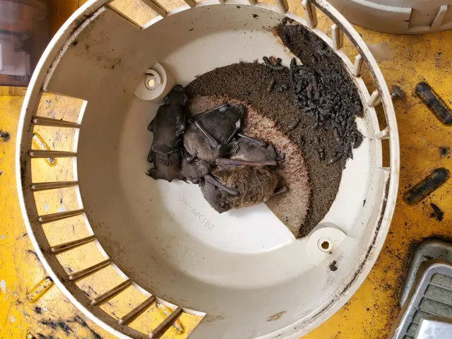 100%自社対応◎安心の５年保証◎ナイトルーストにも対応サービスの画像