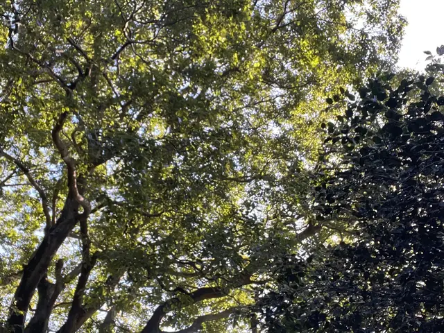 【女性スタッフ同行可能】年中無休◎自信の自社対応◎アフターフォローも万全サービスの画像