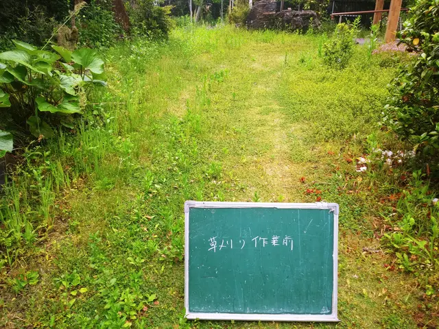 業界歴16年個人宅～太陽光発電所の敷地まで草刈り大得意ですのでお願いいたします。サービスの画像