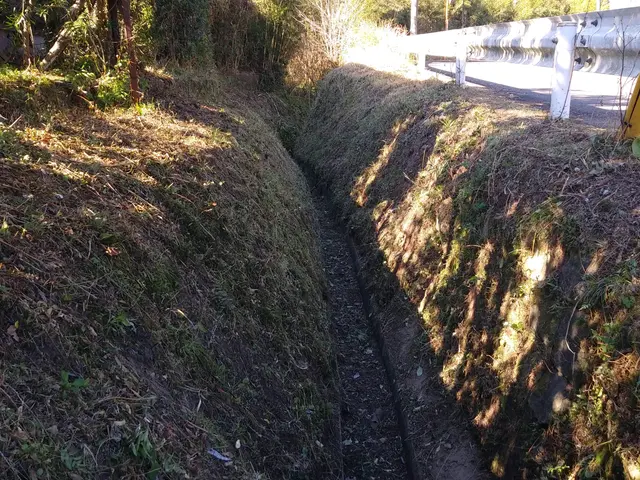 業界歴16年個人宅～太陽光発電所の敷地まで草刈り大得意ですのでお願いいたします。サービスの画像
