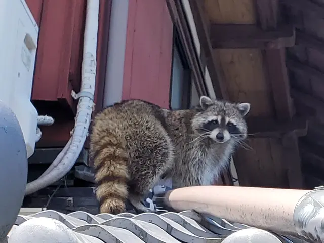 お見積もり無料！・写真で前後比較◎奈良.京都即対応！豊富な経験と知識で安心！サービスの画像