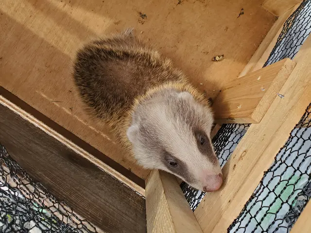 お見積もり無料！・写真で前後比較◎奈良.京都即対応！豊富な経験と知識で安心！サービスの画像