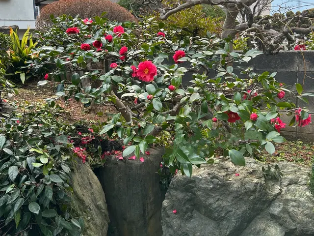 プロの技術でご満足いただけるように心を込めて作業いたしますサービスの画像