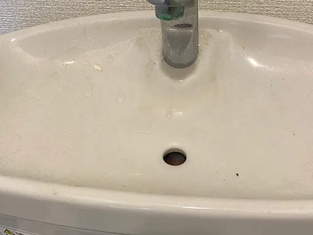 20歳からハウスクリーニング歴15年！非喫煙者◎大手ハウスメーカー経験有りサービスの画像