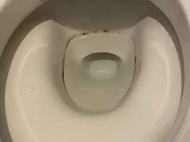 20歳からハウスクリーニング歴15年！非喫煙者◎大手ハウスメーカー経験有りサービスの画像