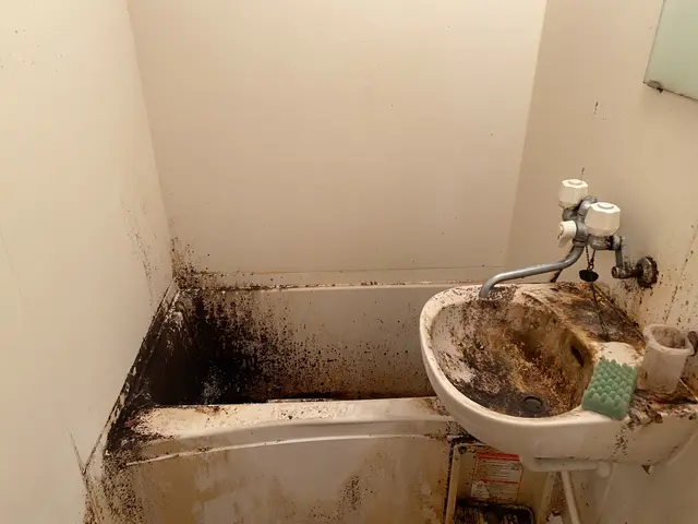 プロの技術でご満足いただけるように心を込めて作業いたしますサービスの画像