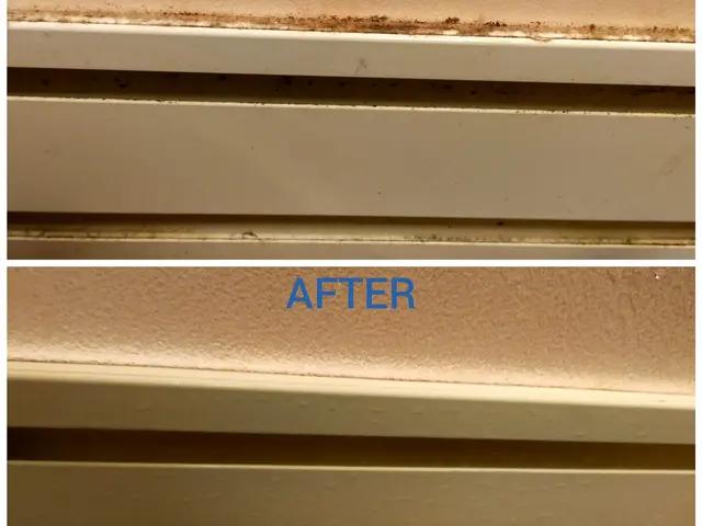 がんばって掃除しても、この水垢、黒ずみ落とせない…そんな悩み、ありませんか？サービスの画像