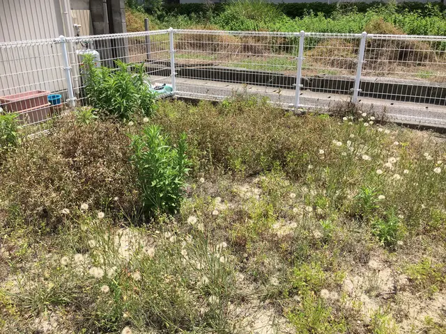 手作業で抜きます！地道にコツコツと抜いていき、独自にブレンドした除草剤を散布。サービスの画像