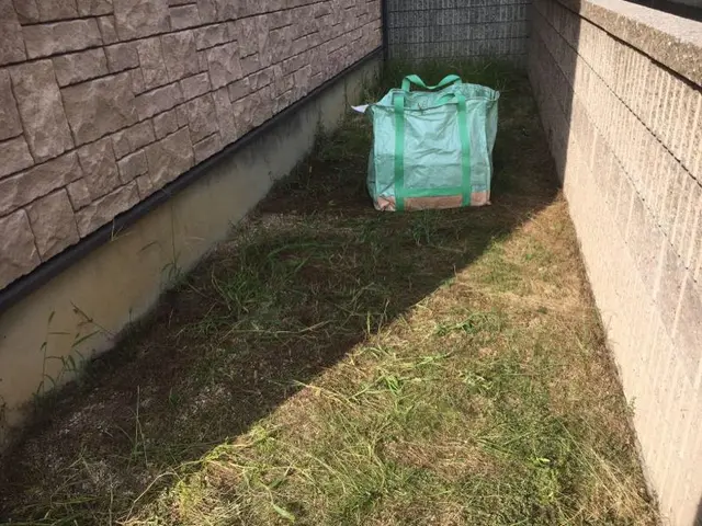 手作業で抜きます！地道にコツコツと抜いていき、独自にブレンドした除草剤を散布。サービスの画像