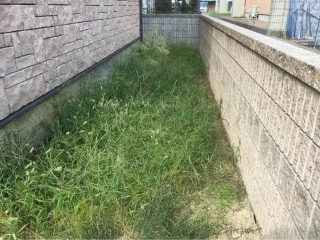手作業で抜きます！地道にコツコツと抜いていき、独自にブレンドした除草剤を散布。サービスの画像