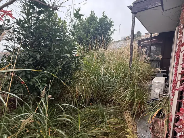 《完全自社施工》お庭スッキリしませんか？小さなご依頼も一生懸命作業します！サービスの画像