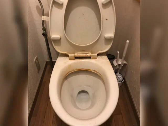 【PayPay対応】こびりついた尿石の除去、トイレを快適空間に！サービスの画像