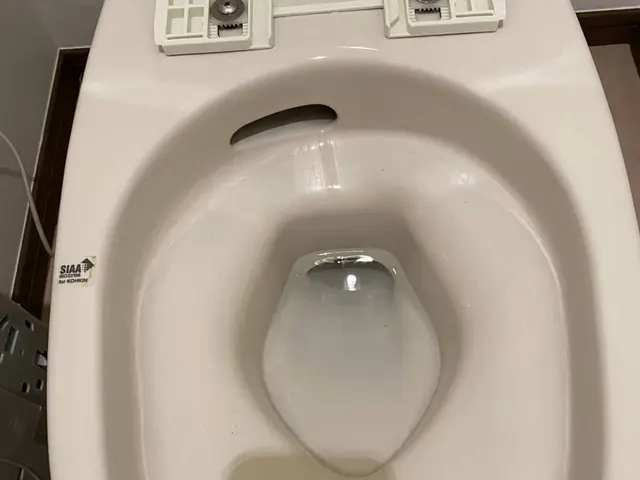 【PayPay対応】こびりついた尿石の除去、トイレを快適空間に！サービスの画像