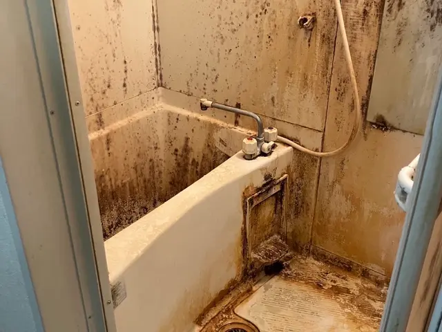 ◆◇徹底洗浄で快適空間◇◆ 今だけ新規出店キャンペーン！サービスの画像