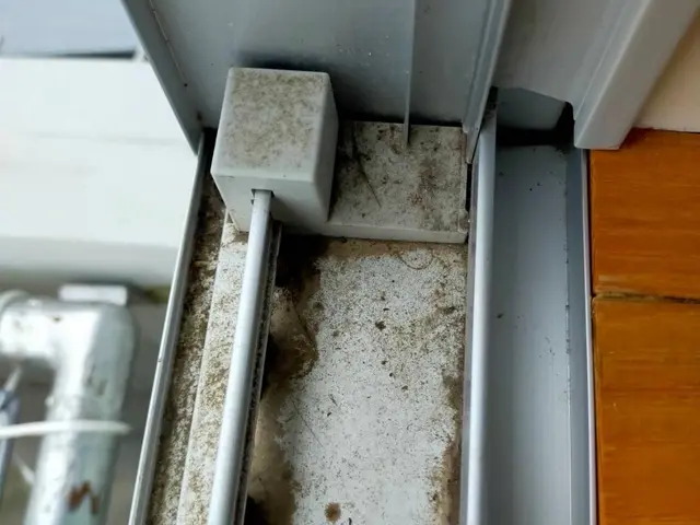 窓一枚にも真心込めて！礼儀とマナーは徹底してお伺いいたします！サービスの画像