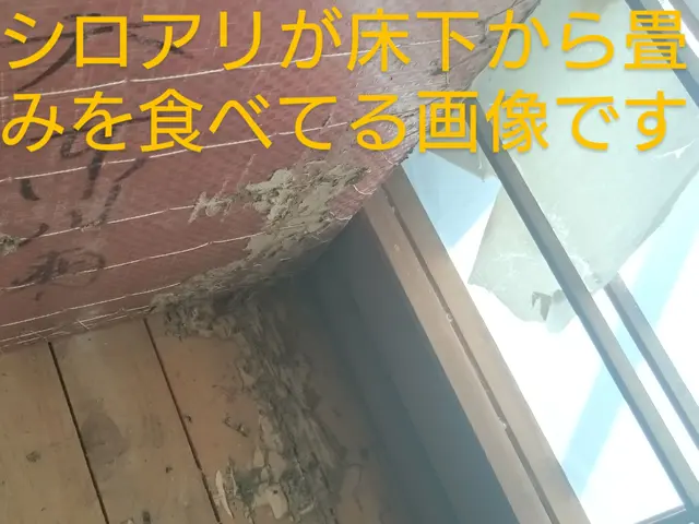 【即日対応可】業界歴20年/1万件突破◉5年無料保証♬大手経験ありサービスの画像