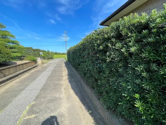 荒れてしまった生垣を剪定しませんか？サービスの画像