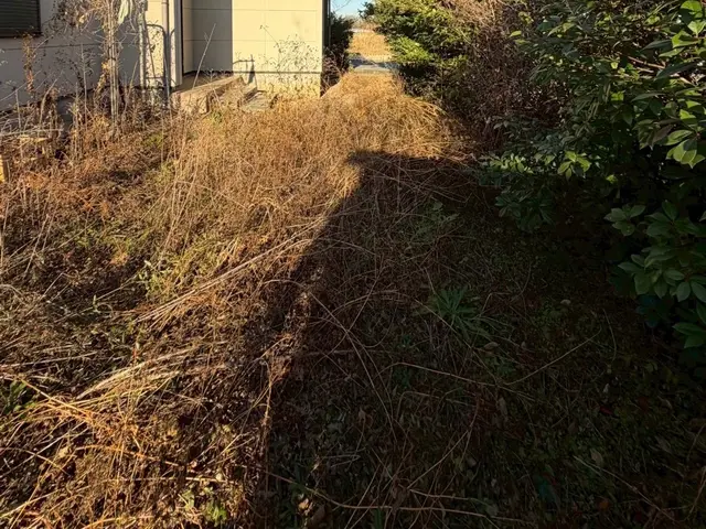 防草シート施工サービスの画像