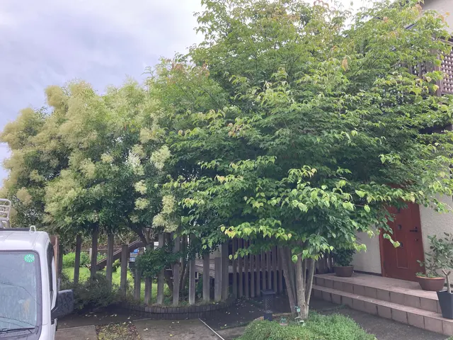 格好良く仕上げます！！お気軽にご連絡下さい(*ﾟ▽ﾟ)ﾉ伐採、抜根もついでにOKサービスの画像