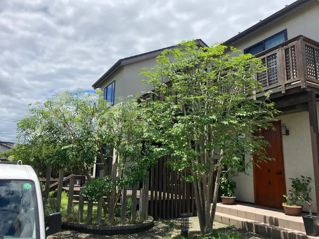 格好良く仕上げます！！お気軽にご連絡下さい(*ﾟ▽ﾟ)ﾉ伐採、抜根もついでにOKサービスの画像