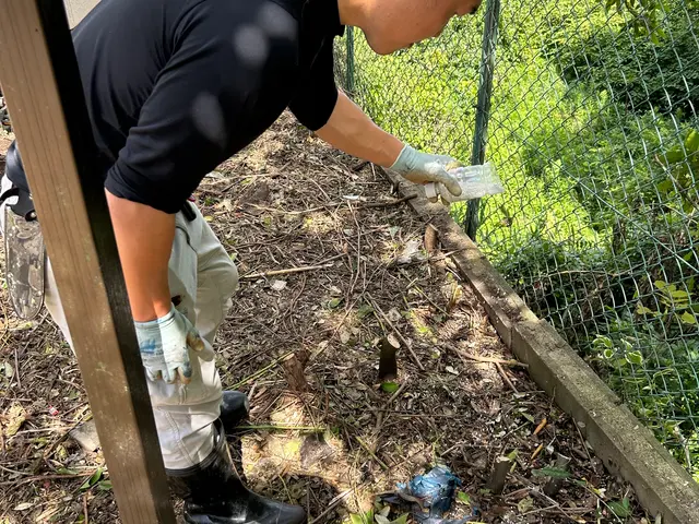 安心の価格帯！丁寧な作業で仕上がりもバッチリ！関西の庭作業のことならお任せ下さいサービスの画像